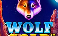 Игровой автомат Wolf Gold Игровой автомат Wolf Gold